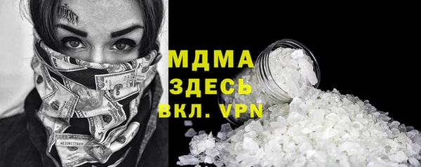 гидра Вяземский