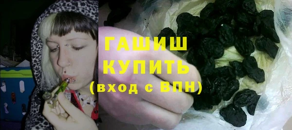 гидра Вяземский