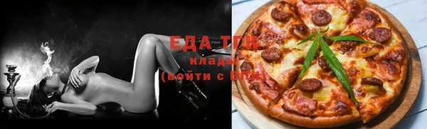 гидра Вяземский