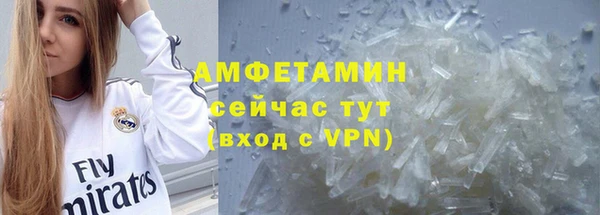 гидра Вяземский