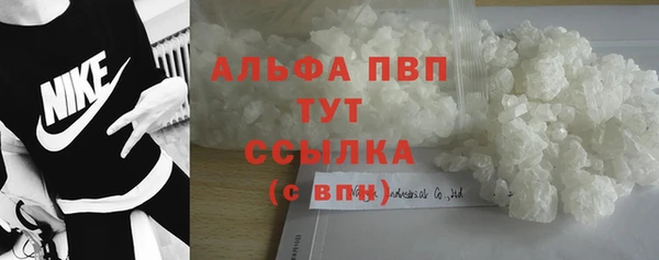 гидра Вяземский
