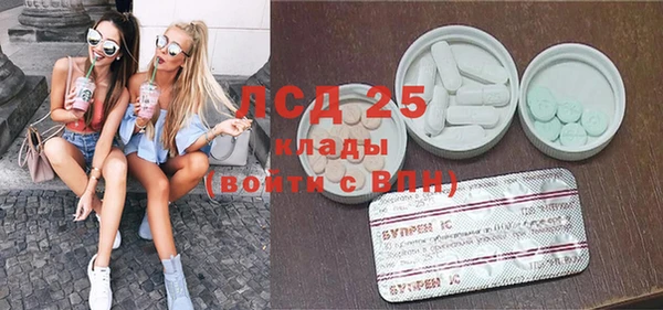 гидра Вяземский