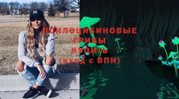гидра Вяземский
