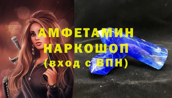 гидра Вяземский