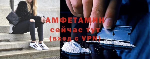 гидра Вяземский
