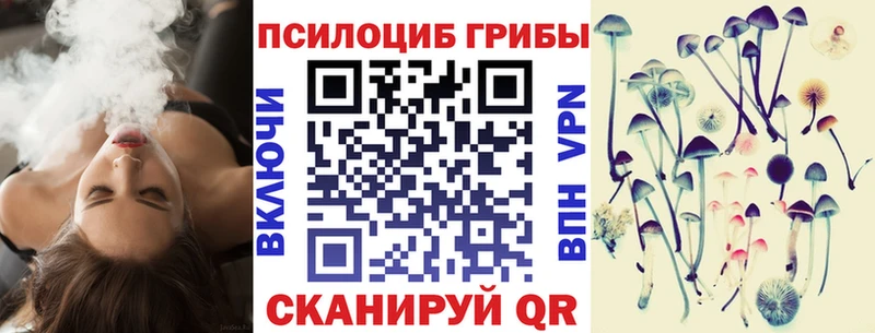 Псилоцибиновые грибы Cubensis  Купить закладки  Каргополь 